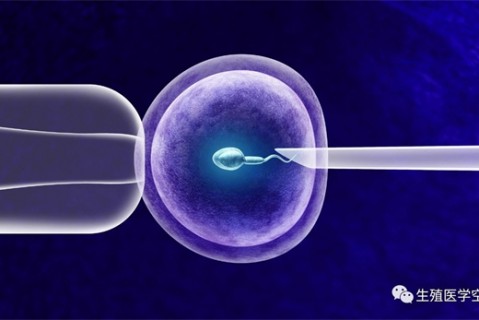 女人杭州代生孩子的最佳年龄段 一辈子生几个孩子最好